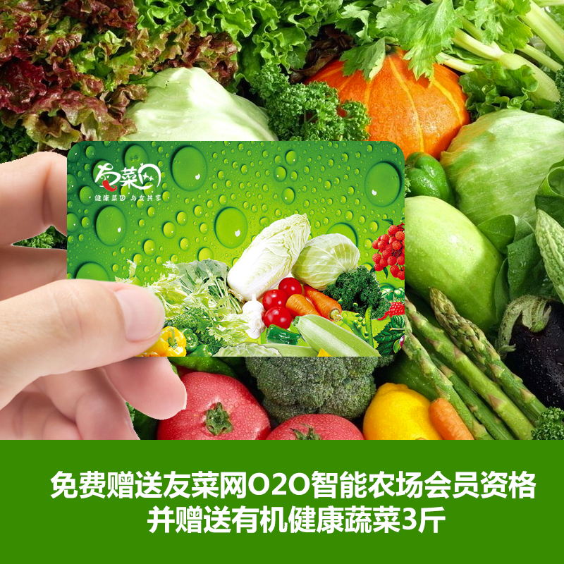 餐飲美食拍照攝影與畫冊設計有著緊密的聯系