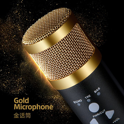 蔡琴金話筒盒裝設(shè)計(jì)