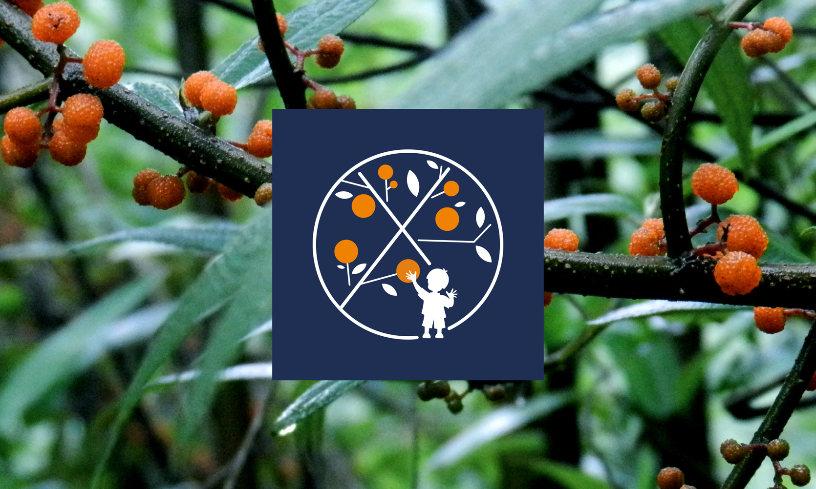 果汁品牌設計，新式茶飲品牌設計，奶茶品牌設計，奶茶品牌logo設計，飲品品牌logo設計