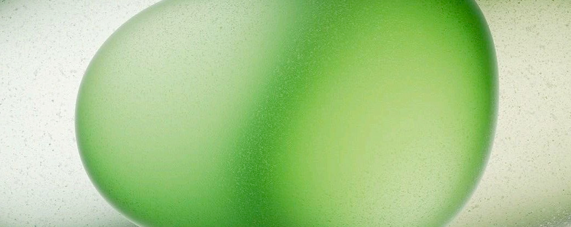 唐養(yǎng)師品牌設(shè)計,LOGO設(shè)計,品牌定位,微型VI設(shè)計