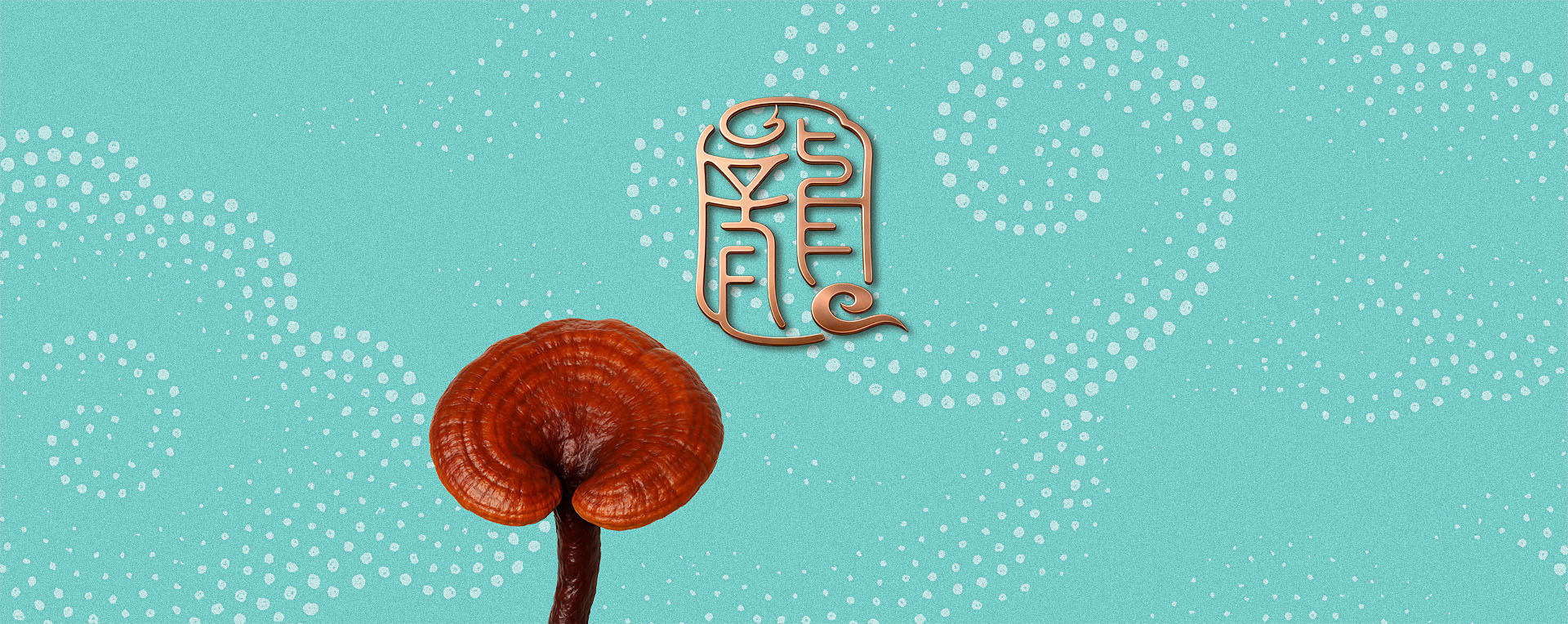 龍溪谷品牌包裝策劃設(shè)計(jì)，品牌定位，logo設(shè)計(jì)